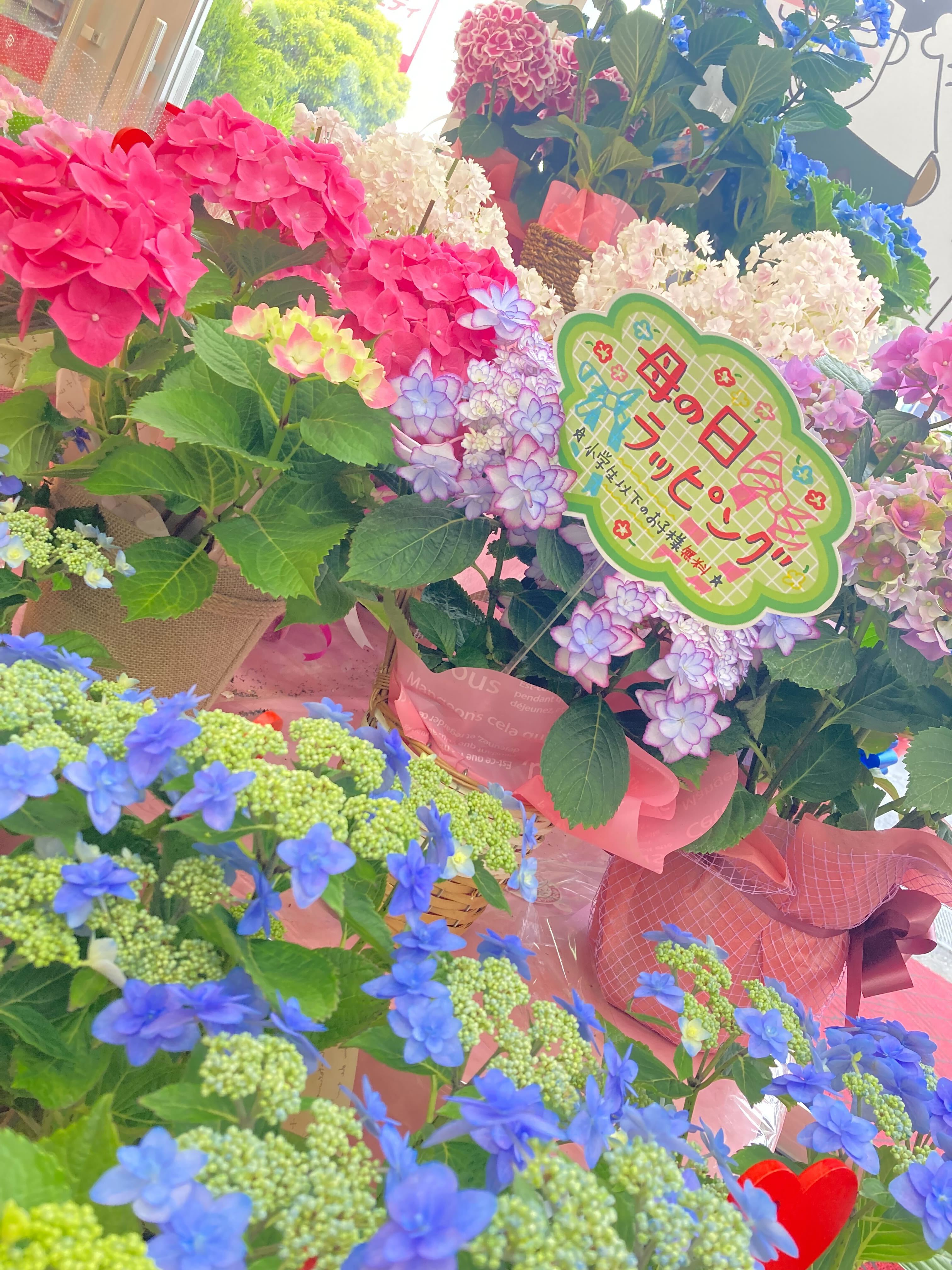 ❤母の日へのプレゼントはお決まりですか(・・?❤ | 【ダイユニ